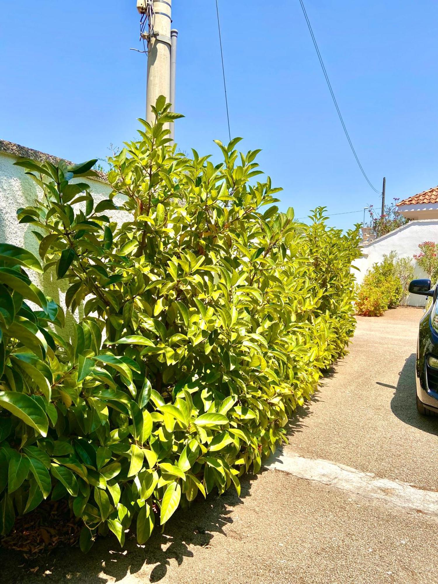 B&B Costa Azzurra Порто Чезарео Екстериор снимка